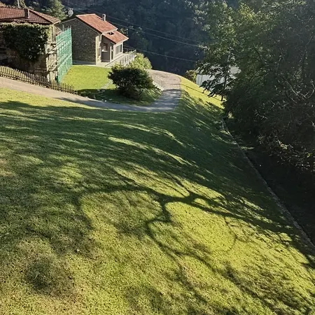 Apartament Leila *